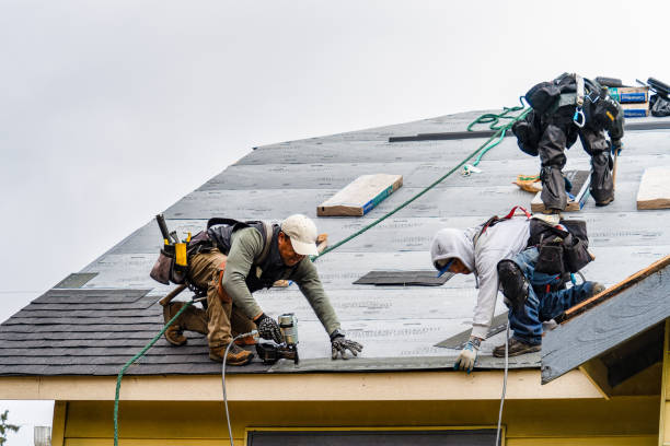 Professional Roof Replacement technician working in Delong, IN